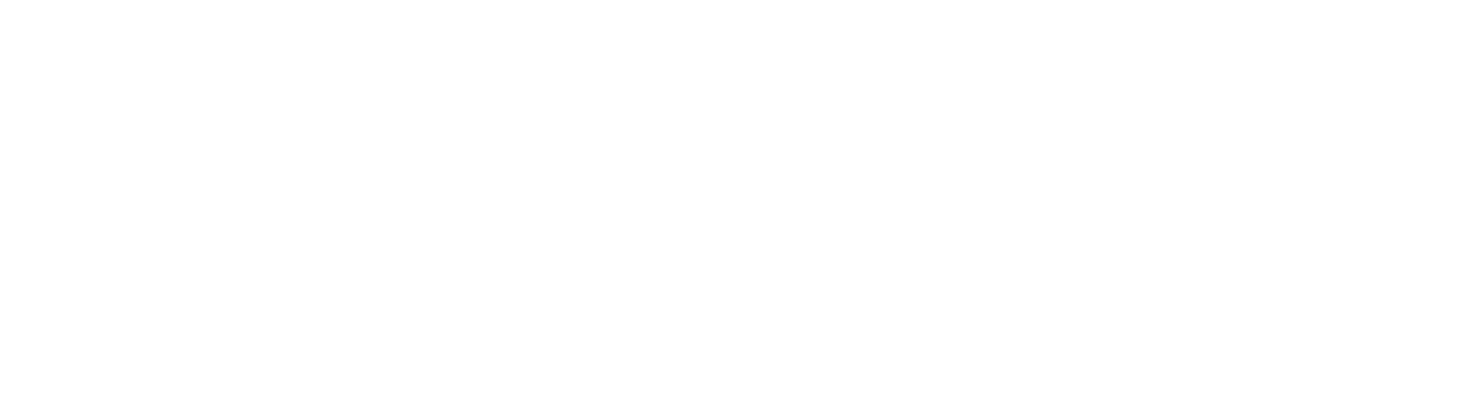 Cognisint